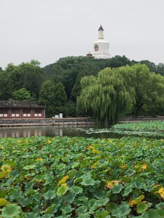 公园风景 