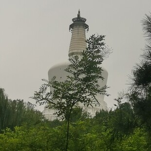 公园风景 