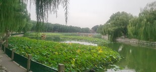 公园风景 