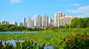 长沙梅溪湖的秋天