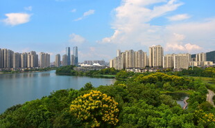 秋天里的城市美景