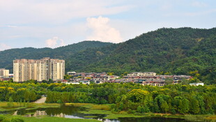 秋天里的城郊公园