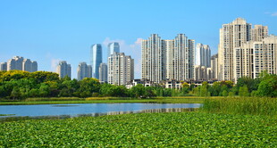 长沙梅溪湖的秋