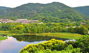 秋天里的城郊公园