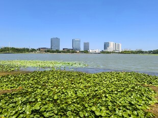公园湖面建筑