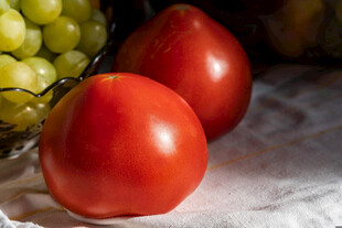 番茄