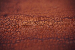 棕色花纹皮革纹理背景素材皮质