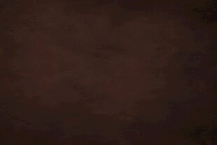 棕色花纹皮革纹理背景素材皮质