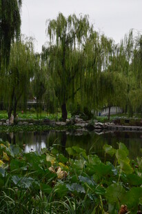 公园风景 