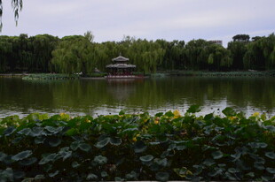公园风景 