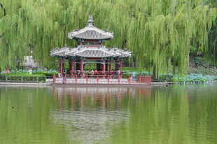 公园风景 