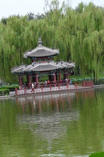 公园风景  
