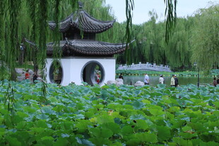 公园风景 