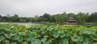 公园风景 