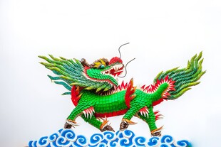 龙图腾中国吉祥图案图样