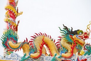 龙图腾中国吉祥图案图样