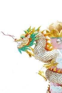 龙图腾中国吉祥图案图样