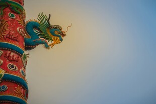 龙图腾中国吉祥图案图样