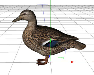 C4D模型 野鸭子 