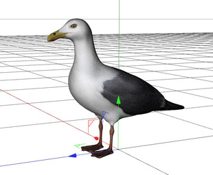 C4D模型 海鸥