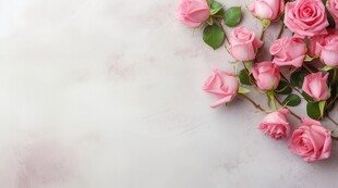 粉玫瑰情人节纸片背景素材图片