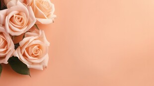 红玫瑰礼物蝴蝶结情人节素材图片