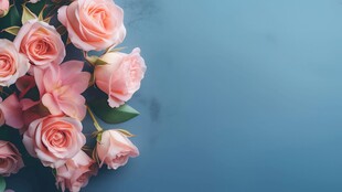 红玫瑰礼物蝴蝶结情人节素材图片