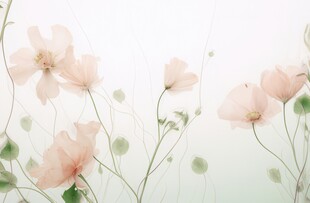 清爽鲜花花瓣花朵露珠背景图