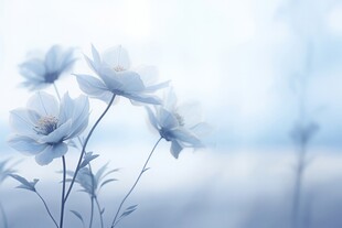 清爽鲜花花瓣花朵露珠背景图