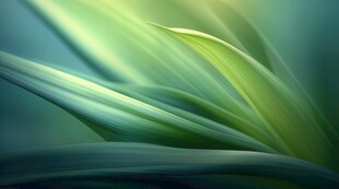 优雅抽象炫彩渐变背景图