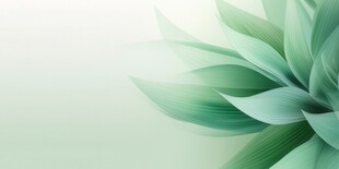 优雅抽象花朵炫彩渐变背景图