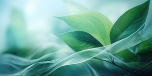 优雅抽象花朵炫彩渐变背景图