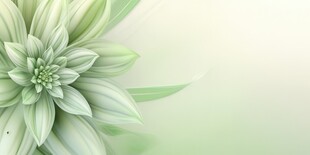 优雅抽象花朵炫彩渐变背景图