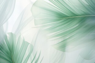 优雅抽象花朵炫彩渐变背景图