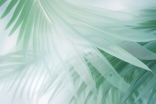 优雅抽象花朵炫彩渐变背景图