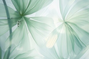 优雅抽象花朵炫彩渐变背景图