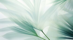 优雅抽象花朵炫彩渐变背景图