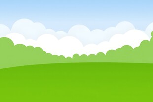 春光明媚户外风景鲜花草地