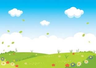 春光明媚户外风景鲜花草地