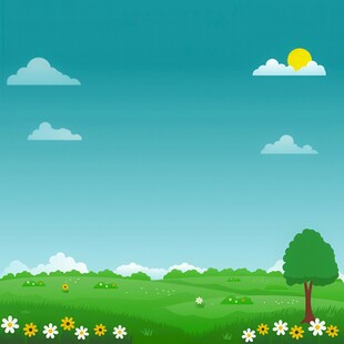 春光明媚户外风景鲜花草地