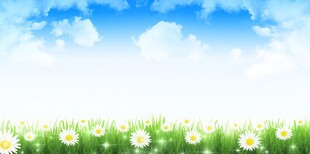 春光明媚户外风景鲜花草地