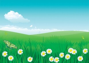 春光明媚户外风景鲜花草地