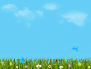 春光明媚户外风景鲜花草地