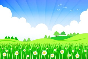 春光明媚户外风景鲜花草地