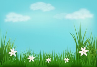 春光明媚户外风景鲜花草地