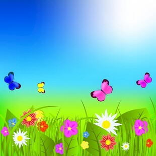 春光明媚户外风景鲜花草地