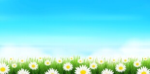 春光明媚户外风景鲜花草地