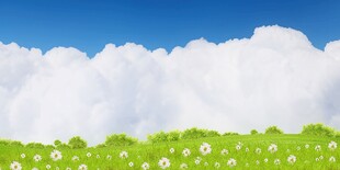 春光明媚户外风景鲜花草地