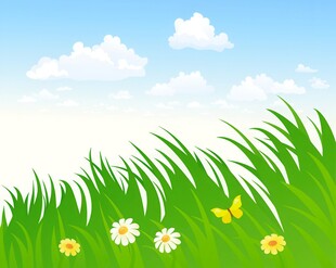 春光明媚户外风景鲜花草地