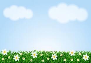 春光明媚户外风景鲜花草地